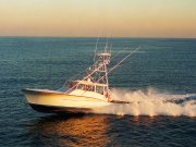 Jarrett Bay 44